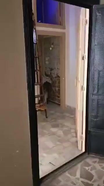 للبيع منزل غرفتين وجنينة بلزبدية حلب