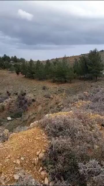 للبيع أرض زراعية بمنطقة تكية أول طريق الزبداني