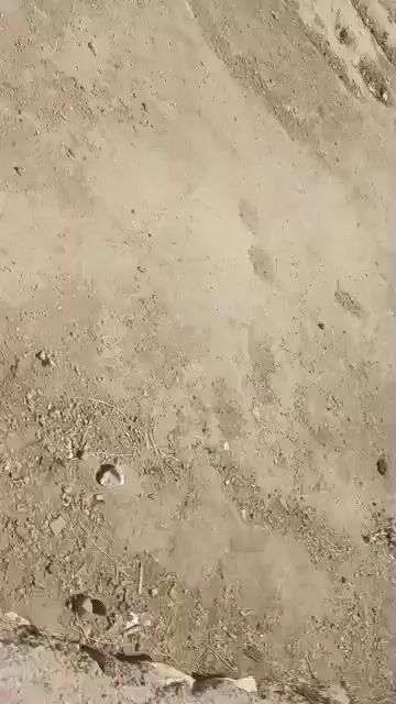 للبيع مقسم ارض مساحة 800 متر / الحسكة _ النشوة الشريعة