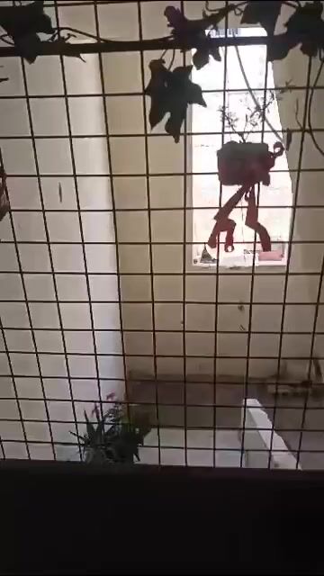 شقة  للبيع  بالزاهرة  جديدة  جنب  مرآب  قريبة  عالحديقة  