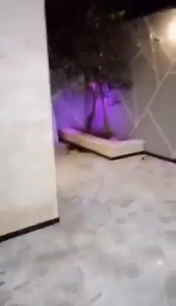 للبيع شقة ارضية ديلوكس 325م/ 5 غرف و صالون/حماه حي البرناوي 