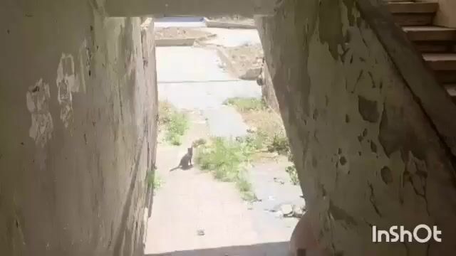 للبيع شقة حمص الإسكان الستين مقابل مطعم مرهف تجهيز ممتاز 