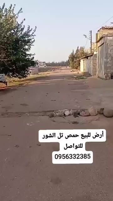 للبيع ارض زراعية ريف حمص تل الشور موقع مميز 