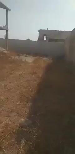 للبيع مزرعتين دروشا القصور مساحة اجمالية ١٥٠٠ متر مربع السعر 100.000$