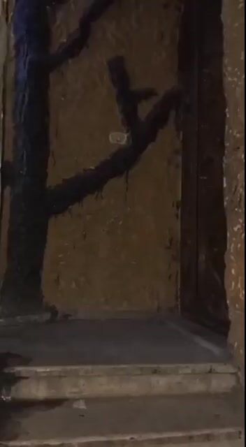 بيت كله سيراميك جاهز من كل شيء  البيع  بيت بالسكري ثلاث السكري 