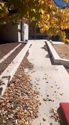 فلل للبيع في مضايا، ريف دمشق بمساحة 10000 م²