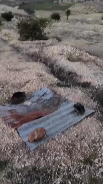 ارض زراعية في حماة بمنطقة جرنية العاصي 