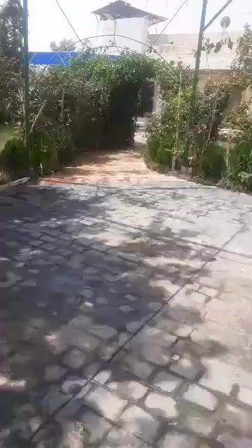 للبيع مزرعه مفرق حرستا القنطره عطريق العام