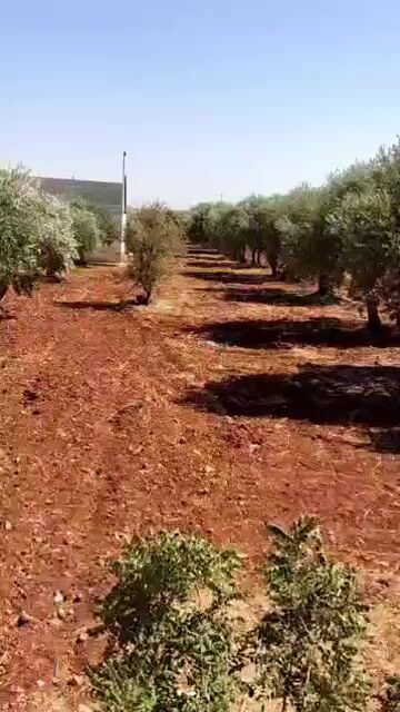 للبيع ارض زراعية 7650 متر /ادلب جانب مسبح البكار على طريق معرتمصرين