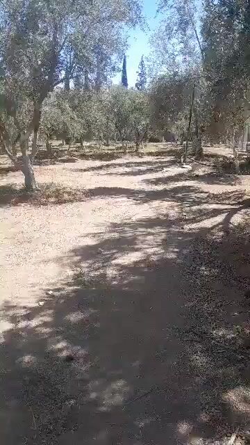 ارض للبيع طريق المطار نجها