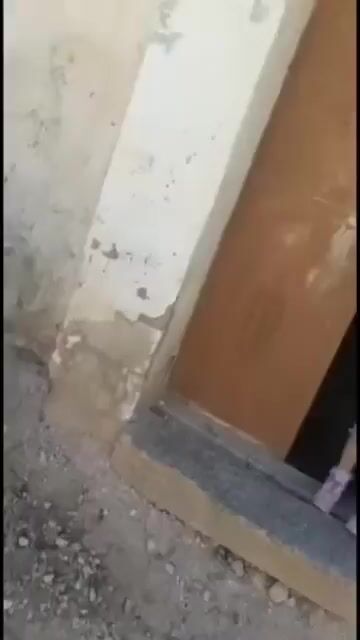 السلام عليكم بيت عربي للبيع على طريق حماه حمص قرية بسيرين