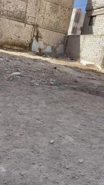 ارض بالمليحة البلاط طابو اخضر مرخصة للبناء للبيع 