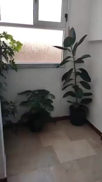 للبيع شقة حمص الأرمن المربع الذهبي تجهيز سوبر ديلوكس 
