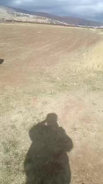 أرض زراعية للبيع في مضايا - ريف دمشق بمساحة 13000 م²