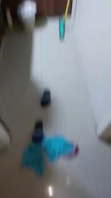 حلب الجميلية 