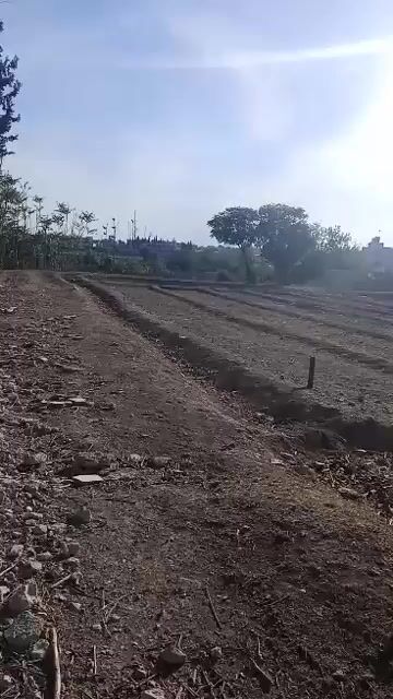 أرض زراعية للبيع بسهل عين ترما مساحة36 قصبة