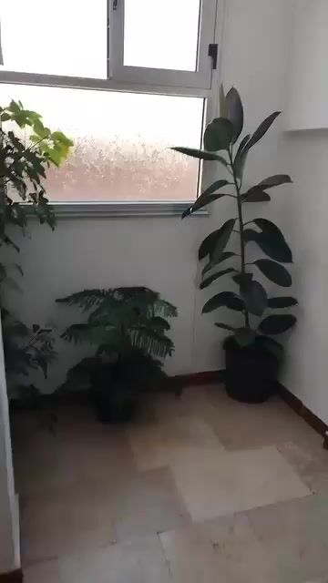 للبيع شقة حمص الأرمن موقع مميز تجهيز ممتاز 