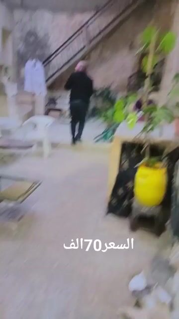 دار عربي بل جلوم ٧٠ الف ٠٩٤٤٩٢٢٥٩٥