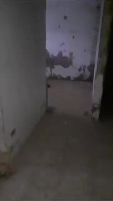 بيت ارضي معفش مساحة 70 متر ثلاث غرف ومحرك ومطبخ