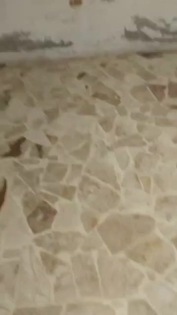 للبيع شقة غرفتين وصالون 