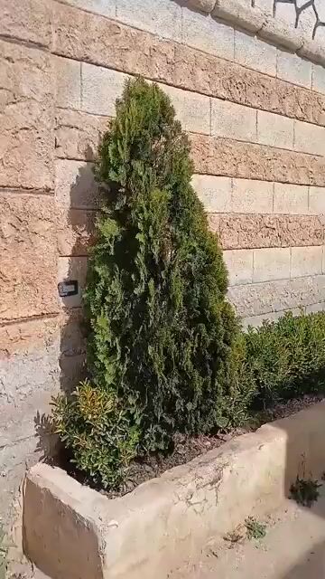 للبيع مزرعة في المليحة