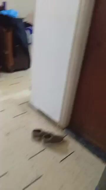 شقة بالقرب من خط السرفيس منطقة سوق الديارنة وسط جديدة عرطوز