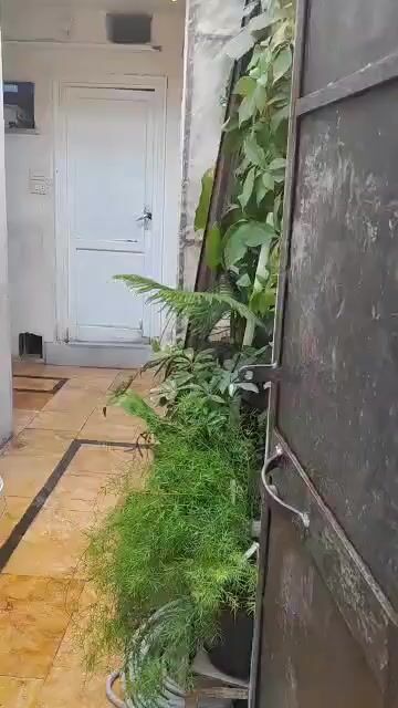 السلام عليكم للبيع دار عربي بمنطقة الشيخ ابو بكر غرفتين وقيو غمس