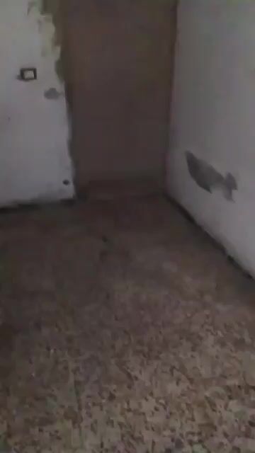 محل للبيع 