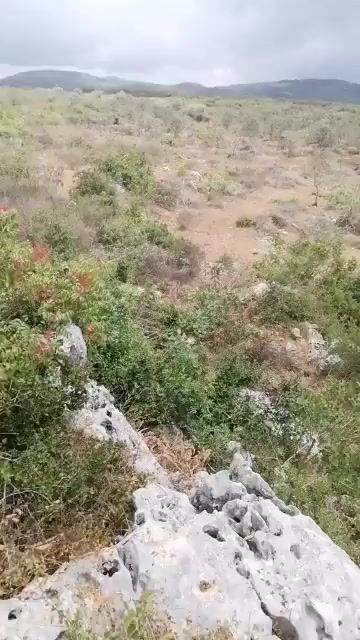 أرض زراعية للبيع في البارقية، طرطوس - 5900 م²