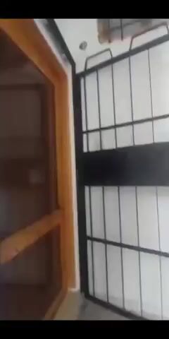 للبيع شقة حمص الخالديه شارع الشوارد تجهيز ممتاز 