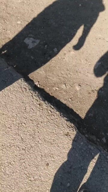 ٤٥ دونم أراضي زراعية للبيع في البحارية - الغوطة الشرقية