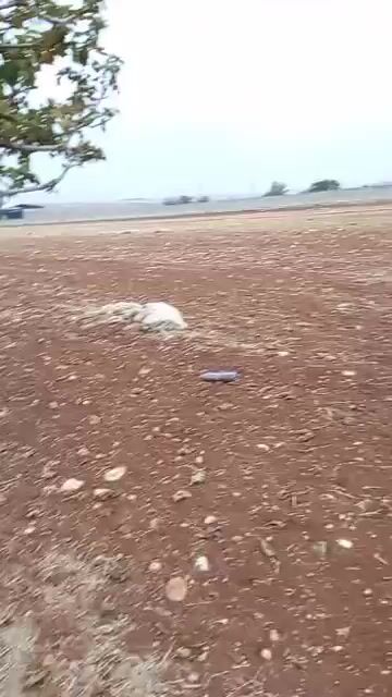 أرض زراعية للبيع في مركز عفرين 8400 م² بسعر مغري