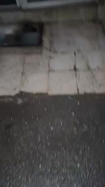 للبيع محل بشارع بغداد خلف جامع الفاروق مساح 3*3 مع سقيفة ومنتفعات