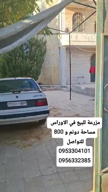 للبيع مزرعه حمص الأوراس تجهيز ممتاز 