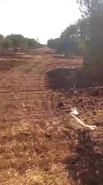 للبيع ارض زيتون مساحة 7600 متر/ ادلب عطريق سرمين قميناس