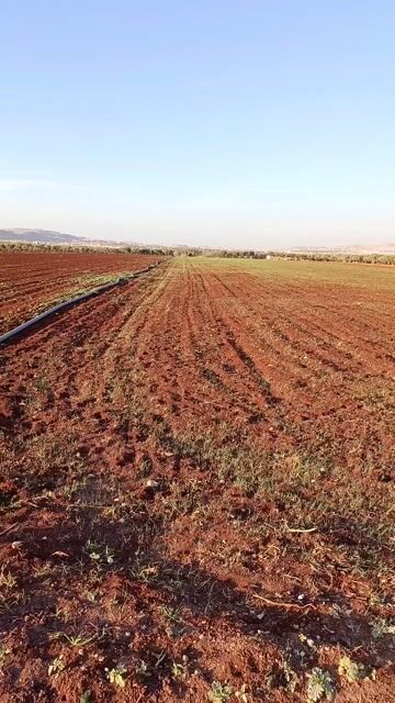 أرض زراعية للبيع 7200 م² في كللي قرب اتستراد إدلب