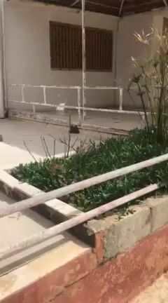 شاليه للبيع في مجمع الرمال الذهبية